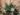 winter floral arrangements